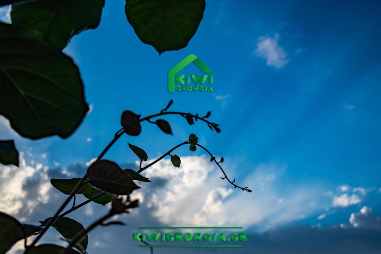 Kiwi Georgia Villa Kobuleti Kültér fotó